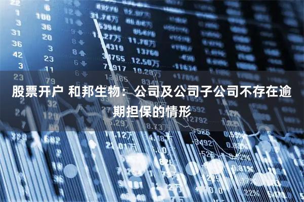 股票开户 和邦生物：公司及公司子公司不存在逾期担保的情形